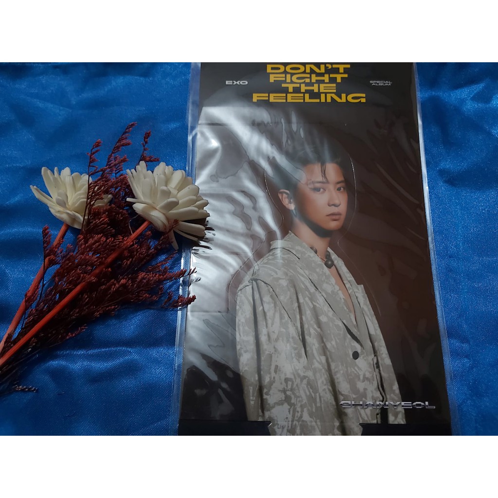 Chanyeol EXO DFTF Don't Fight The Feeling Holo Standee