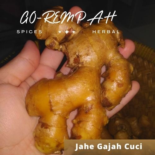 

JAHE GAJAH CUCI /JAHE PUTIH BERSIH /JAHE SAYUR CUCI BERSIH 500grm