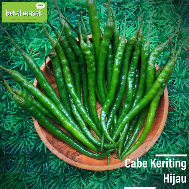 

Cabe Keriting Hijau