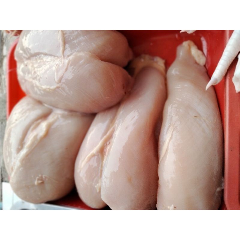 

Daging dada ayam fillet tanpa kulit