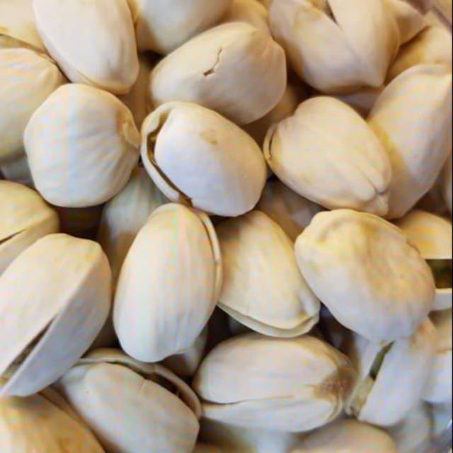 

Kacang pistasio fustuk ukuran 500gr