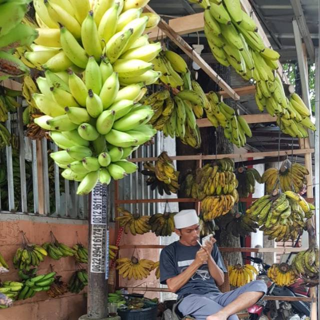 

Semua jenis pisang