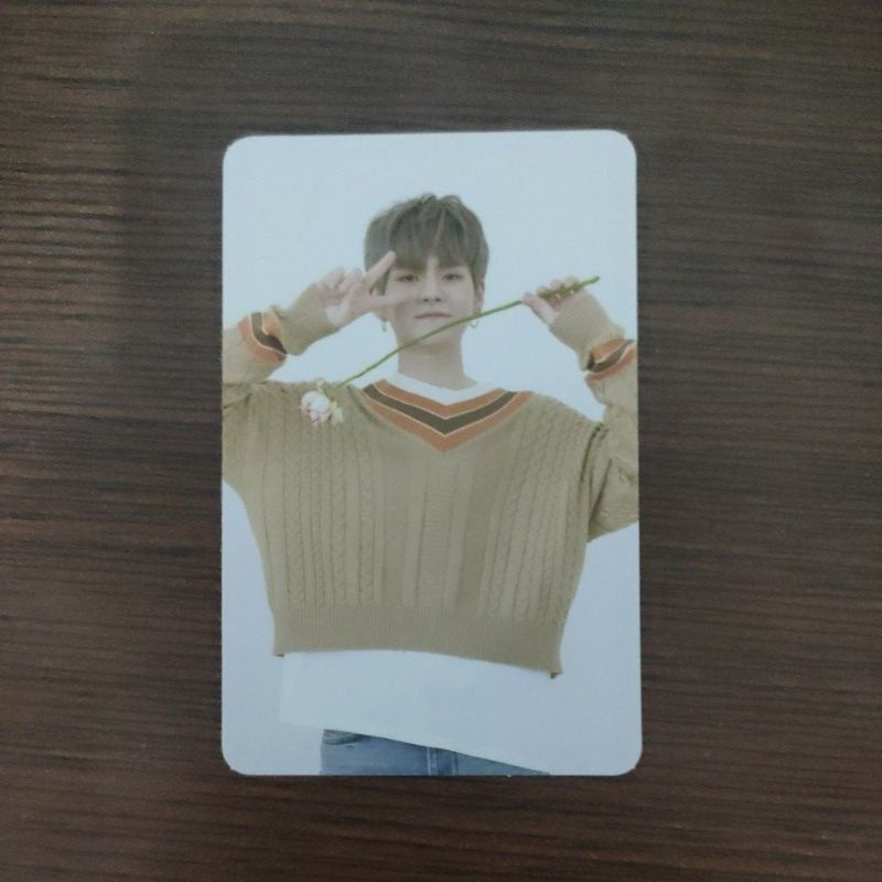 pc yoshi ar full album treasure official