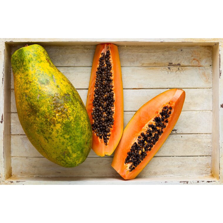 

Buah Pepaya Kualitas Super 1 kg