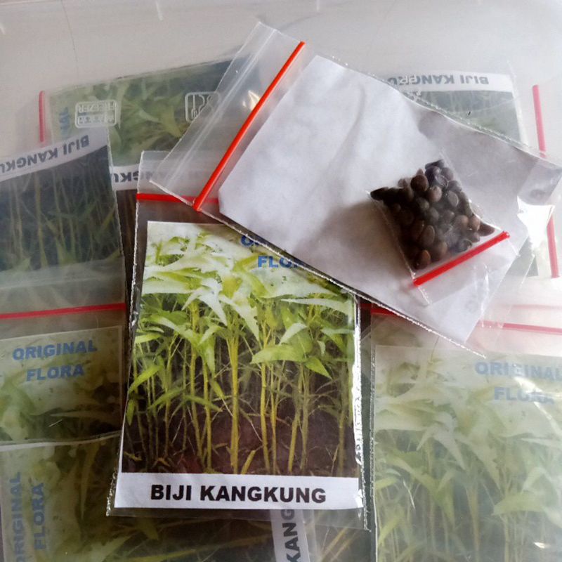 Biji Kangkung Benih Kangkung Siap Semai