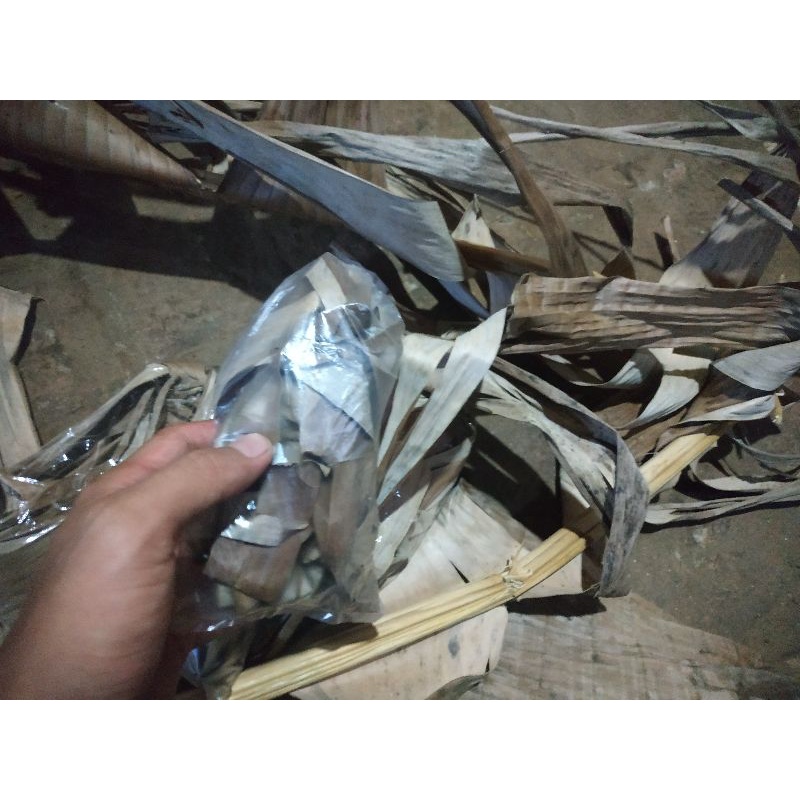 Daun pisang kering