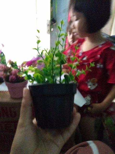 Set Pot + Bunga Hias Rumput Bunga Palsu Bunga Plastik Rumput Artifisial  Hiasan Rumah Shabby Lover