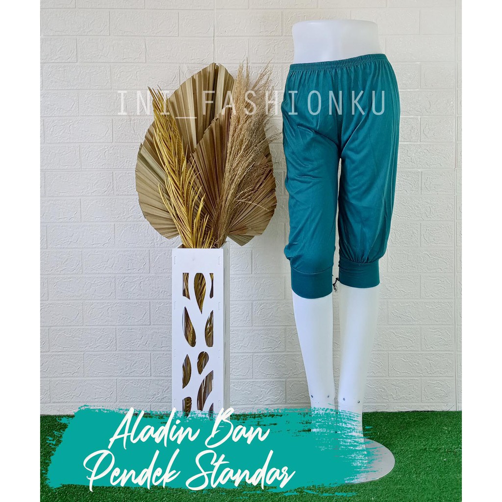 CELAMIS PENDEK / ALADIN BAN PENDEK JUMBO BB 45-90 KG / CELANA PENDEK SANTAI BISA COD