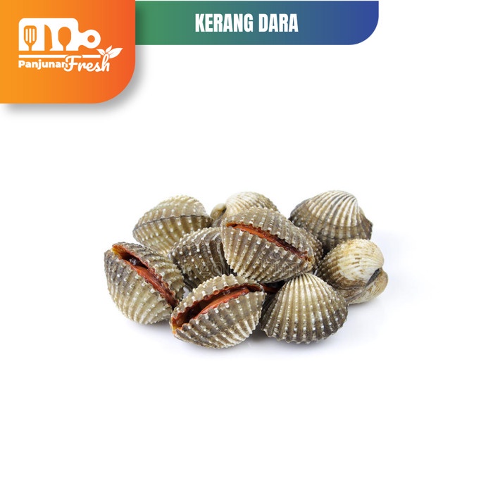 

Kerang Dara hidup ½kg Kerang Dara Mentah Segar 500 Gram