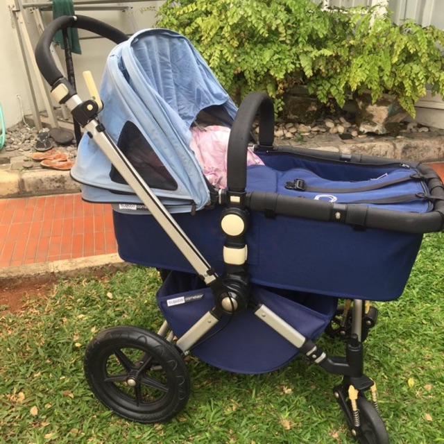 Bogaboo cameleon