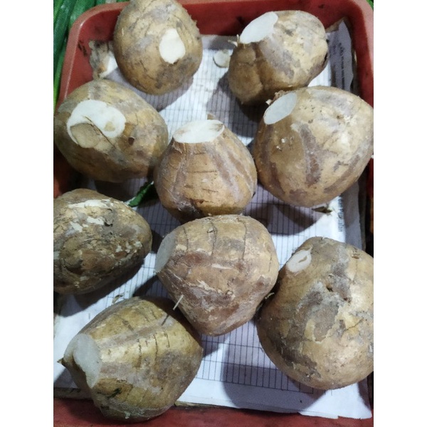 

Bengkoang super