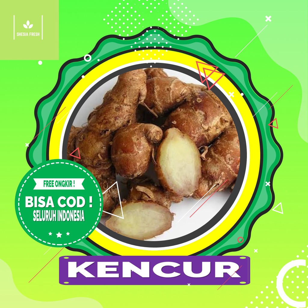 

Shesia Fresh - Kencur Organik 100 gram