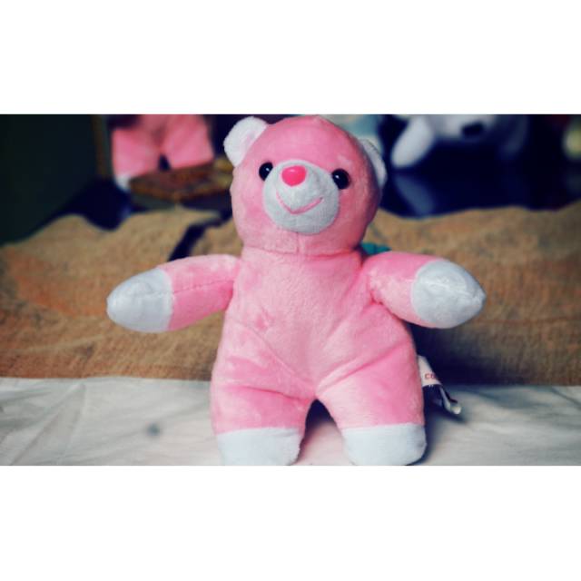 BONEKA TEDDY BEAR | BONEKA PANDA | BONEKA BERUANG | BONEKA LUCU | BONEKA MINISO | BONEKA  KUCING