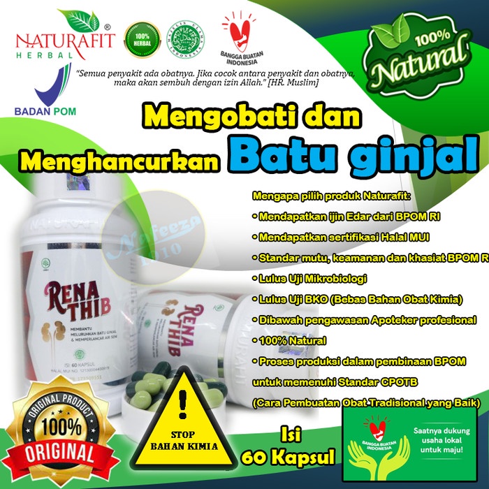 OBAT HERBAL UNTUK BATU GINJAL RENATHIB 60 KAPSUL - obat batu ginjal paling ampuh/obat batu ginjal BU