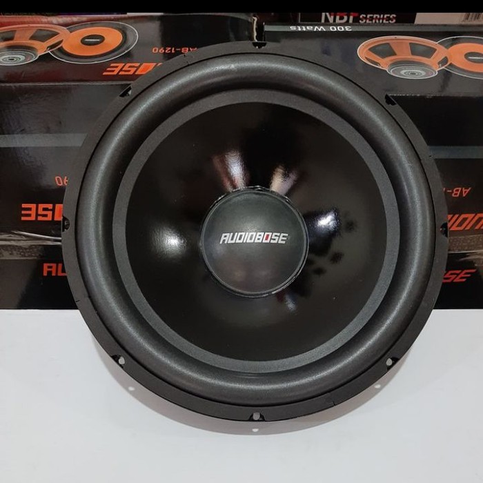 coustic 12 inch subwoofer