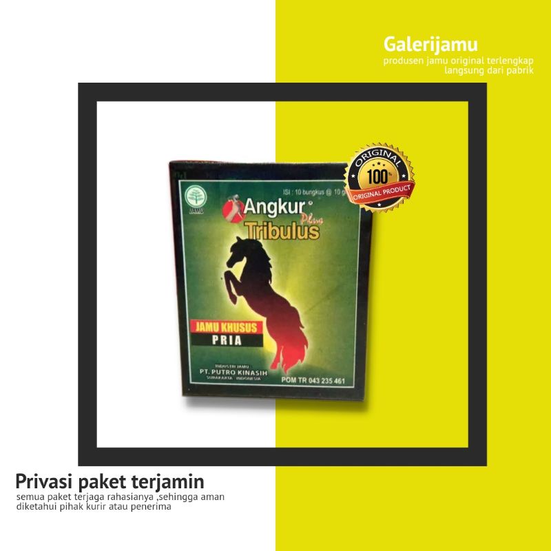 jamu angkur original jamu pria terbukti meningkatkan stamina pria dewasa