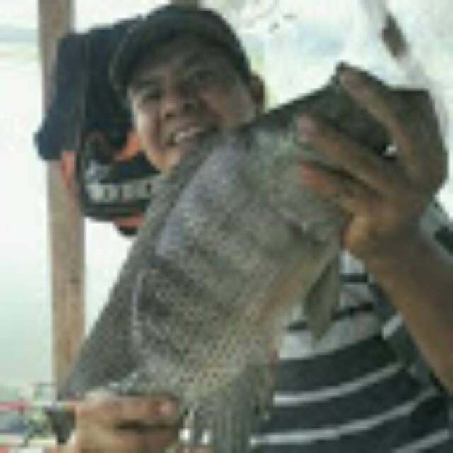 suhermannn1