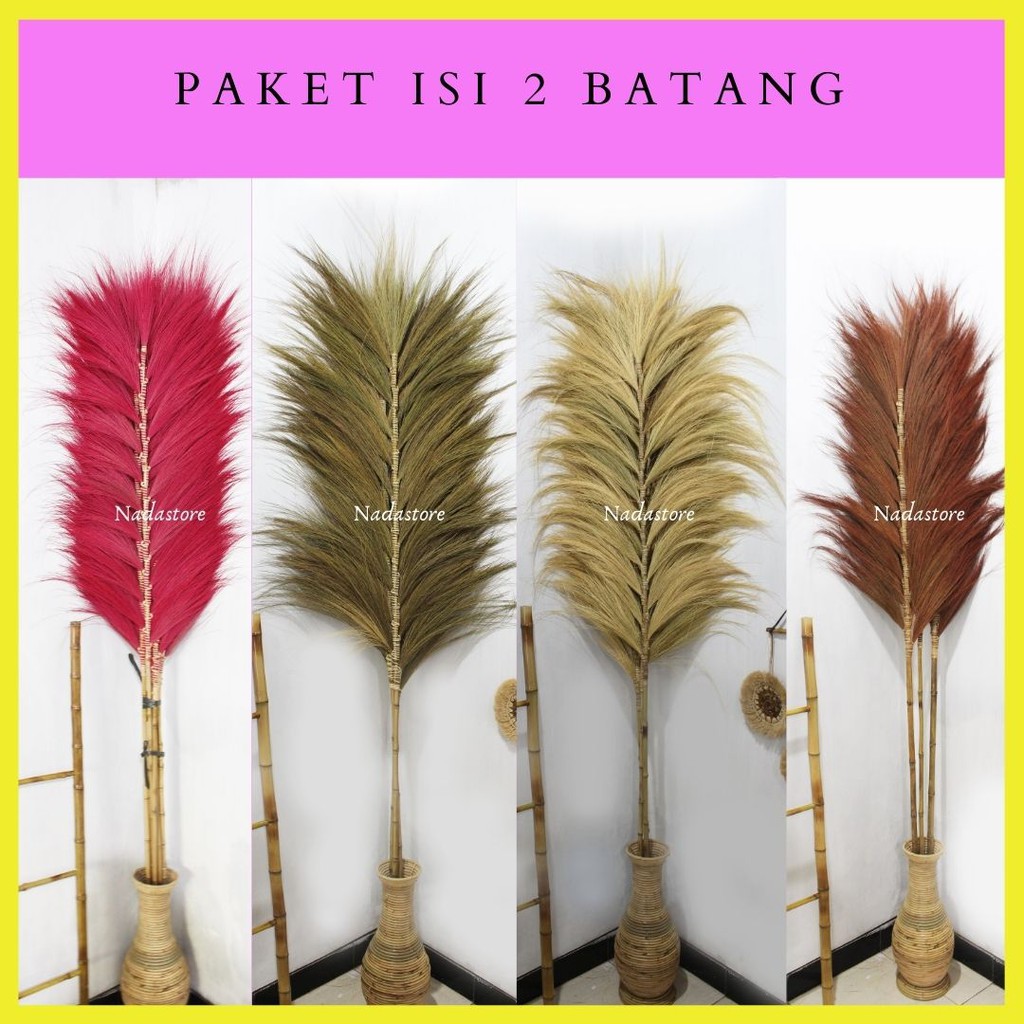 (Bundling isi 2 ) Rayung Stick / Bunga Kering / Dried flower / Bunga Hias / Natural Leaf Rayung Stick / Homedecor / Pajangan Dinding / Sekat Ruangan Tinggi 2 Meter Termurah untuk isi 2