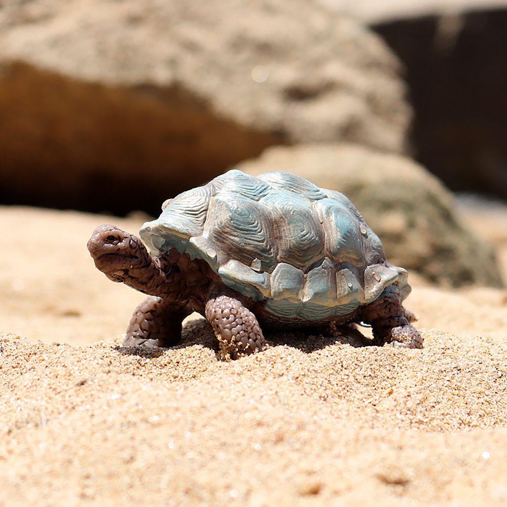 R-flower Mainan Edukasi Bentuk Kurakura Untuk Anak-Anak