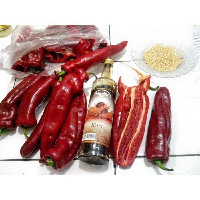 Biji Benih Cabe Unik Cabai Terbesar Di Dunia Giant Aconcagua