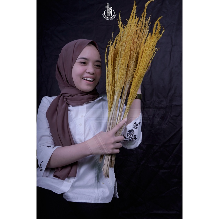 HOME DECOR BUNGA JAGUNG KERING HIASAN RUMAH, BUKET, BUNGA CORNELIA PESTA MURAH MERIAH!! - KUNING