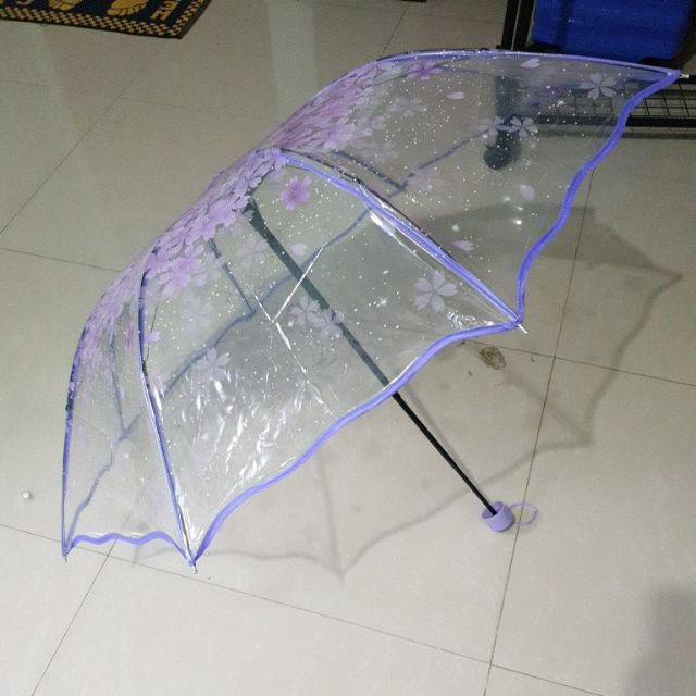 TGB Payung Lipat Transparant Motif Bunga Sakura | Shopee