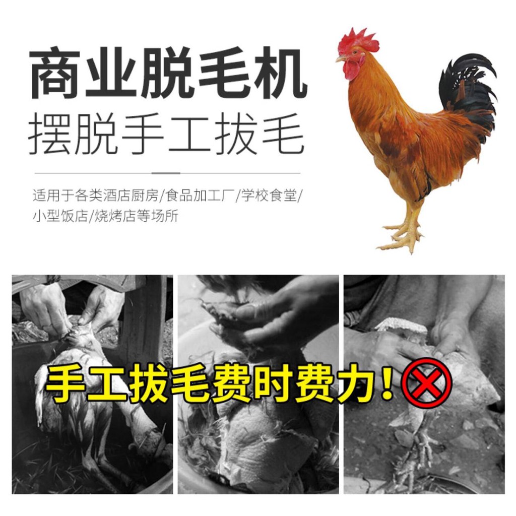 MAXPUMP MESIN TM-60 Mesin Pencabut Bulu Ayam Mesin Cabut Bulu Bebek Ayam Mesin bubut bulu ayam Stainles Stell