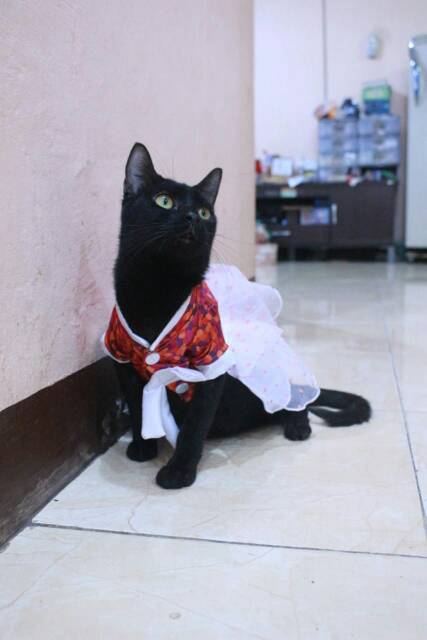 Dress hanbok tutu bunga merah lucu untuk kucing dan anjing / baju kucing murah size S M L XL