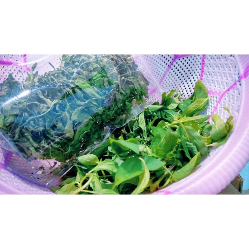 

Daun PeperMint Kering 20 gram