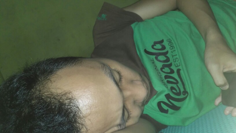 Alat Bonsai Dan Berkebun, Pisau Victorinox Pisau Okulasi Made In Swiss