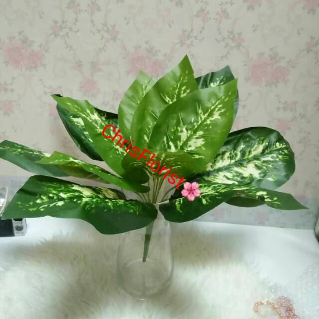 Daun Sri Rejeki Plastik Palsu Buatan Plastic Sintetis Dekorasi Hiasan Artificial
