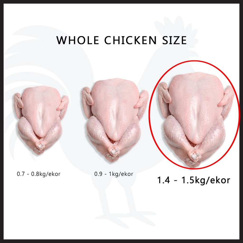 

Ayam Karkas / PKK (ayam boiler) 1.4 - 1.5 kg frozen