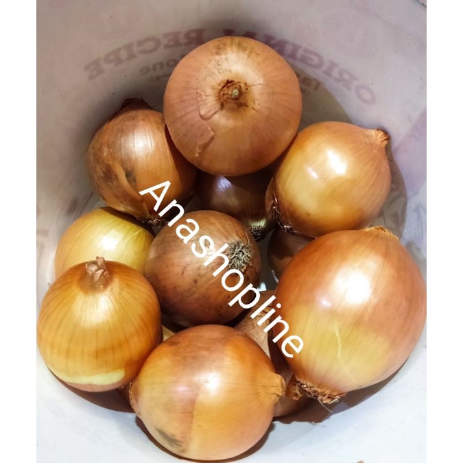 

Bawang Bombay / onions