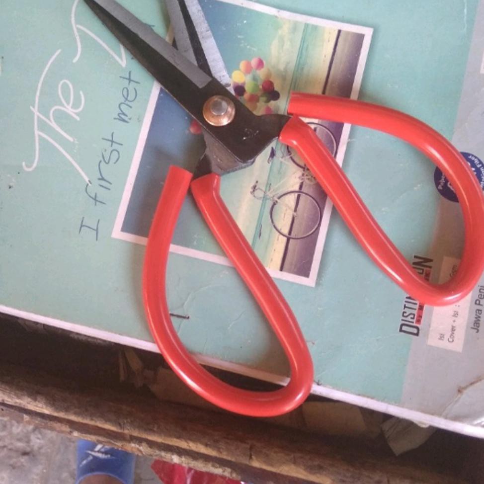 

gunting butterfly kodok