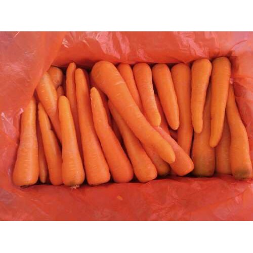 

Wortel Super| Berastagi ( Size M/L ) Harga Per KG