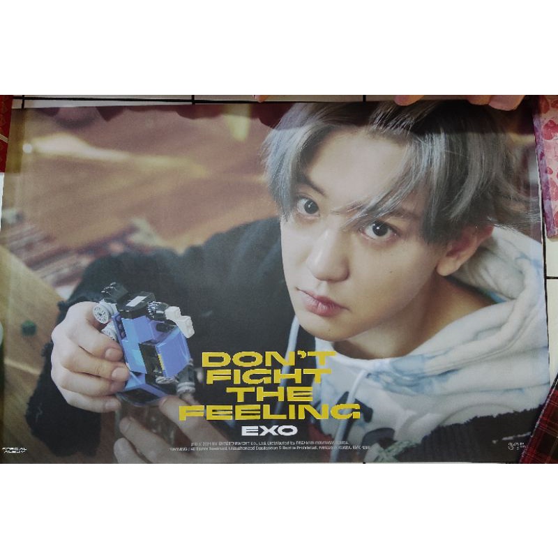 rolled poster chanyeol expansion dftf