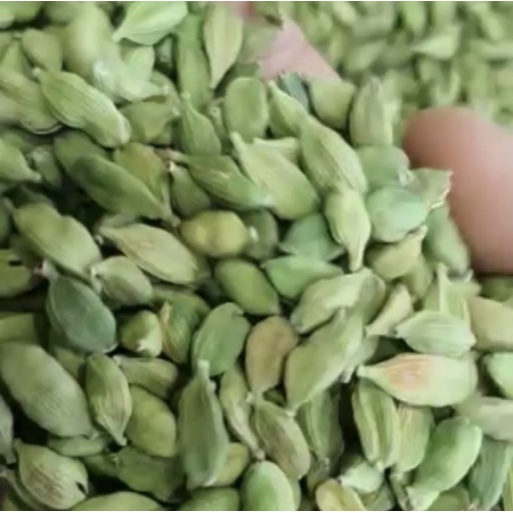 

Kapulaga India 15gr Kapol India 15 gr Green Cardamom