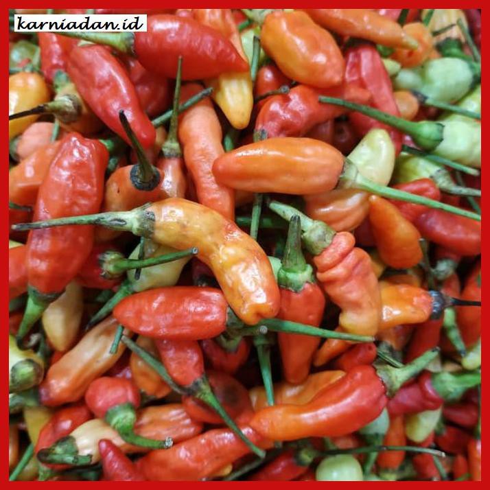 

Aneka-Sambal- Cabe Rawit Merah 250Gr -Pedeeeeeezzzzzzz.
