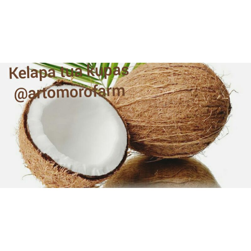 

kelapa sayur kupas