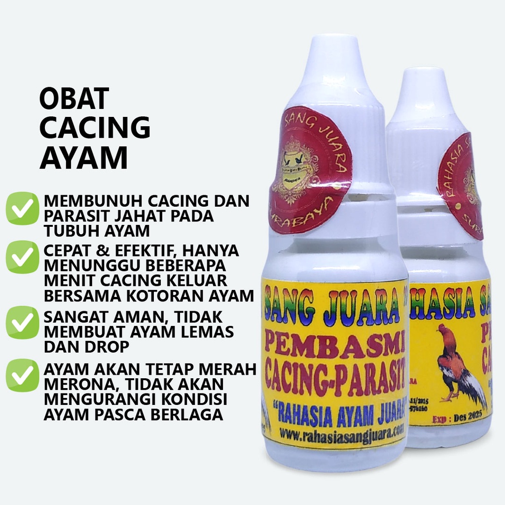 OBAT CACING AYAM BANGKOK ADUAN AMPUH MEMBASMI CACING DAN PARASIT