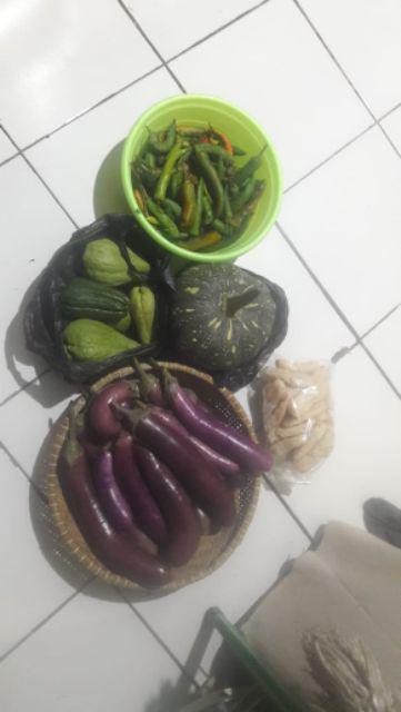 Taiyo Amplas Bulat Velcro 4 Kertas Pasir Eceran