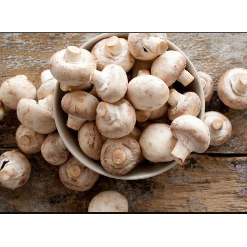 JAMUR BULAT KANCING SEGAR / CHAMPIGNON MUSHROOM FRESH 250GRAM ORGANIK