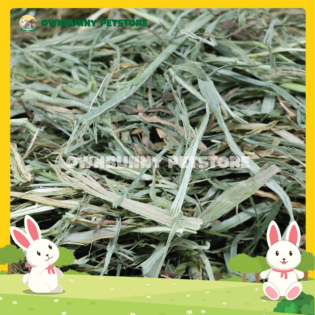 RUMPUT KELINCI TIMOTHY HAY MAKANAN KELINCI SPECIAL HAY 500 GRAM