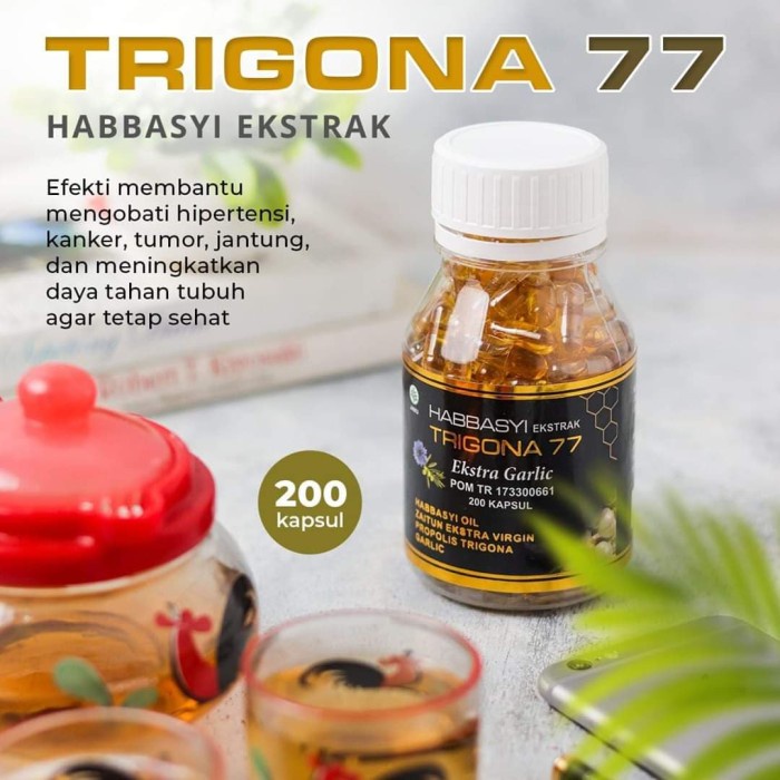 Habbatussauda Oil HABBASYI ZAITUN PROPOLIS TRIGONA 77 Ekstra GARLIC