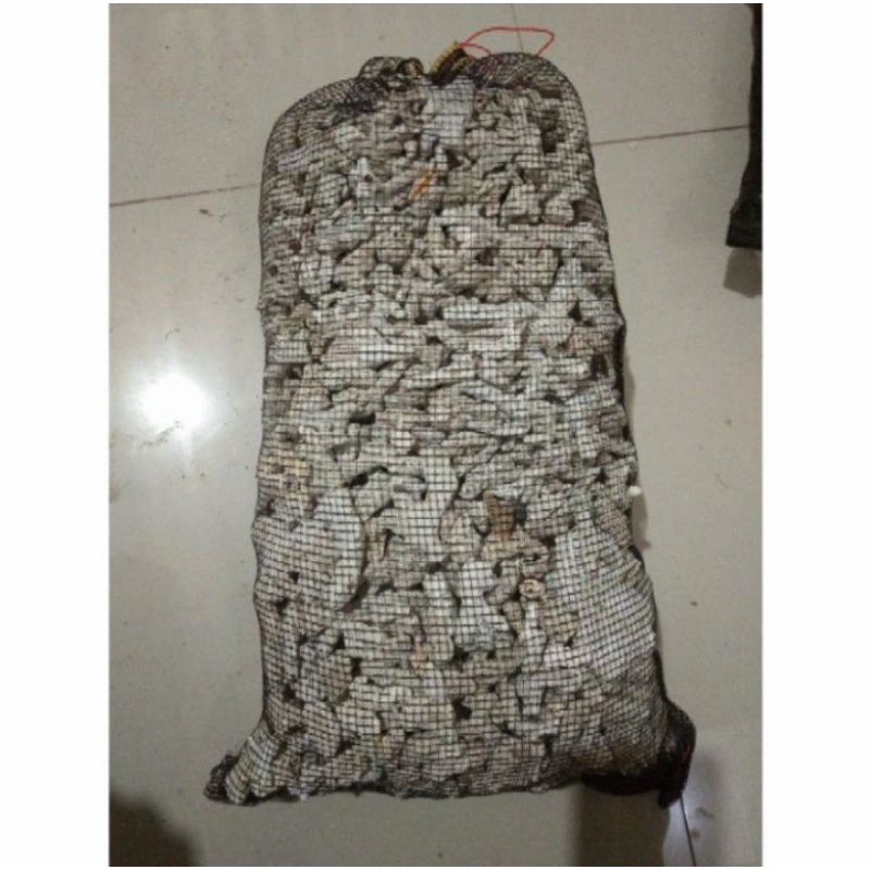 KARANG JAHE FILTER AQUARIUM / KARANG JAHE BATU HIAS AQUASCAPE