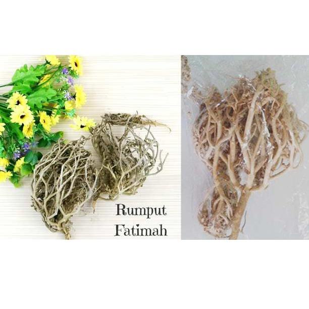 

VPD HERBAL PELANCAR PERSALINAN RUMPUT FATIMAH SANGAT BAGUS BUAT IBU HAMIL JUGA, ORIGINAL ARAB SAUDI 955BHHS