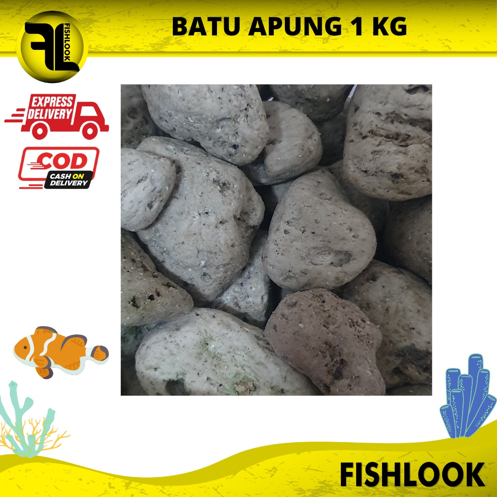 BATU APUNG 1Kg AQUASCAPE PUMICE PUMIS MEDIA FILTER RUMAH BAKTERI AQUARIUM