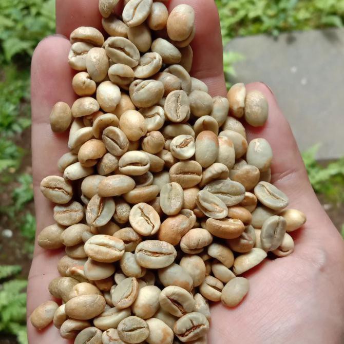 

Produk Unggulan] Greenbean Arabika Ijen 1Kg Natural Anaerobic