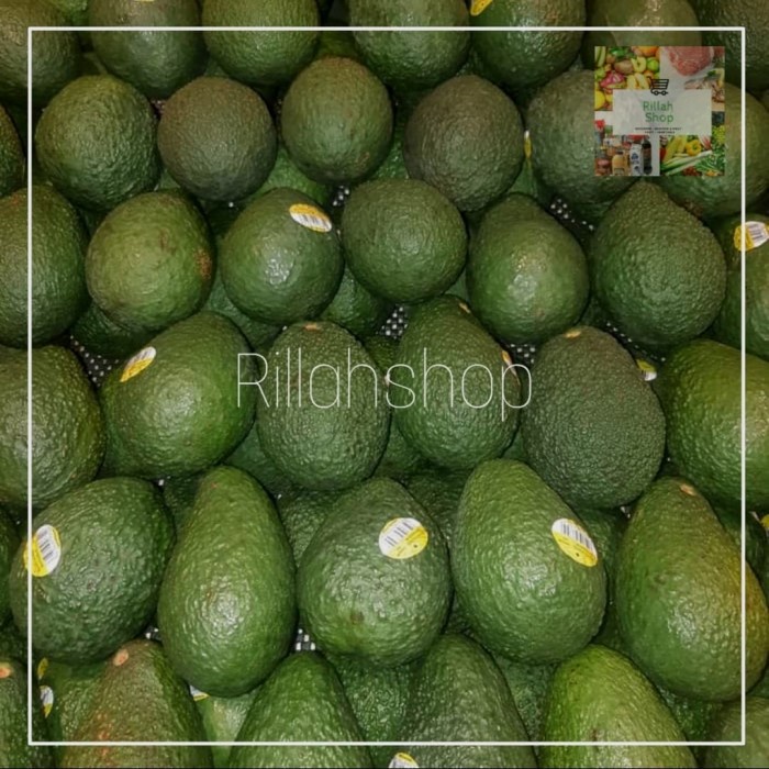 

Buah Alpukat Import Australia Kg