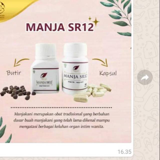 Manja SR 12/ Jamu anti doll